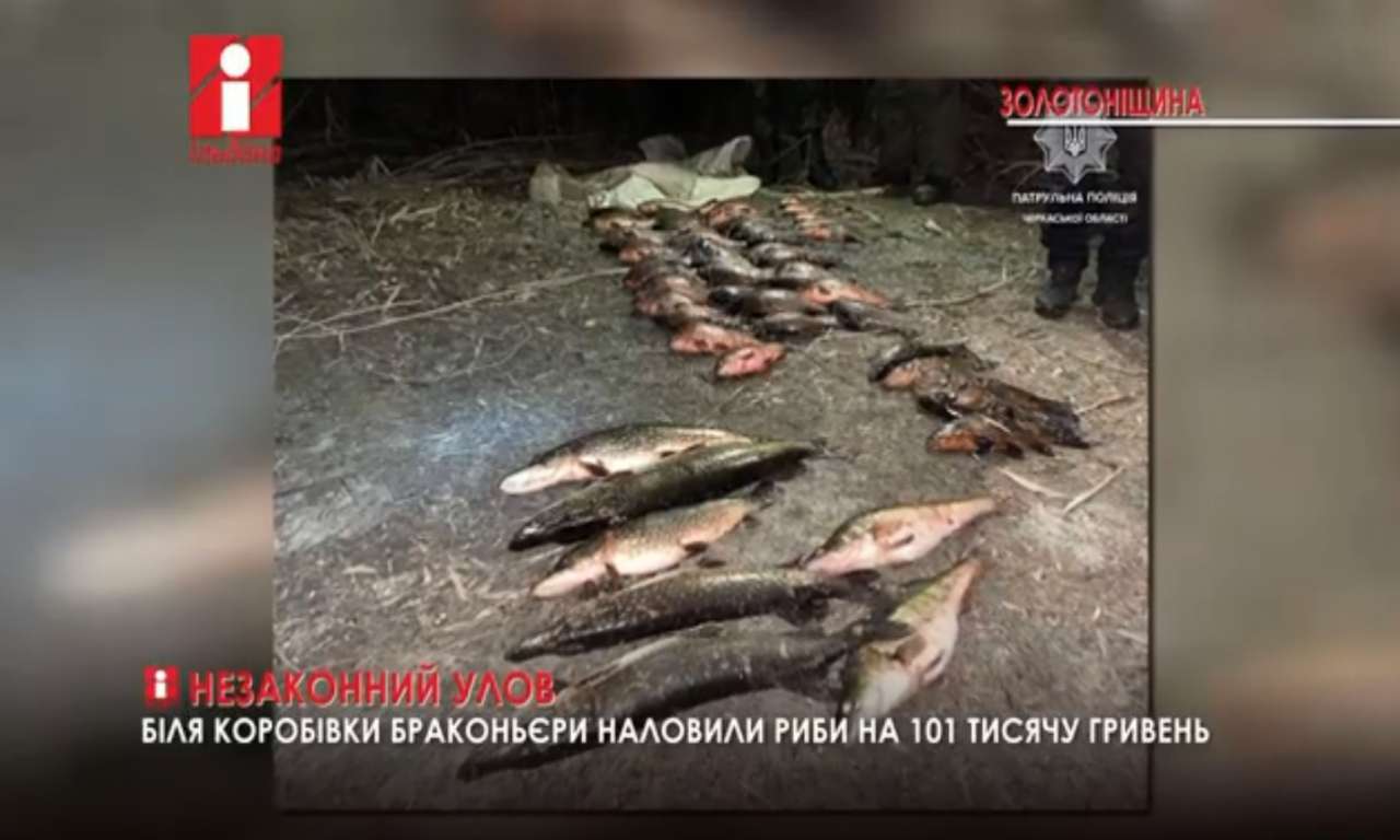 Біля Коробівки браконьєри наловили риби на 101 тисячу гривень (ВІДЕО)